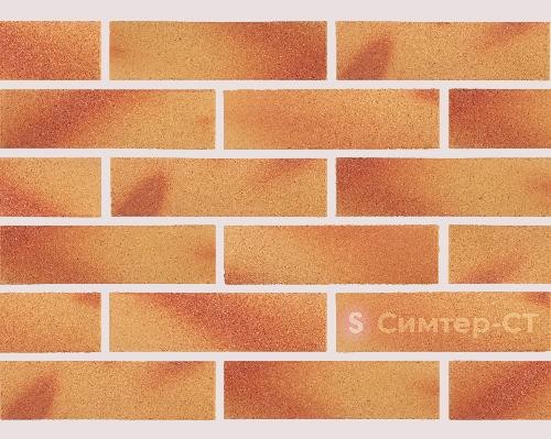 Гибкая клинкерная плитка(фактурный, градиентный) СТ-21 Подольск купить в Пустошке